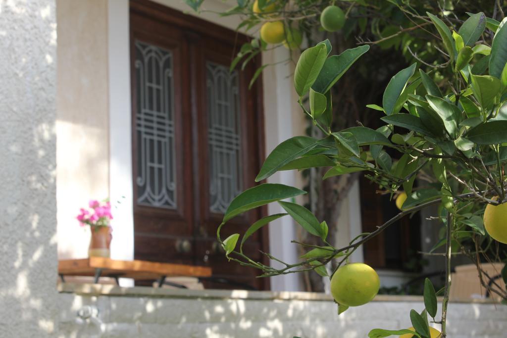 Alice House Daire Porto Heli Oda fotoğraf